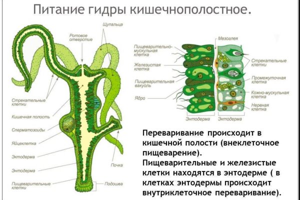 Кракен дарк ссылка