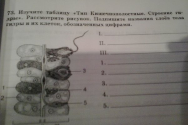 Кракен орг