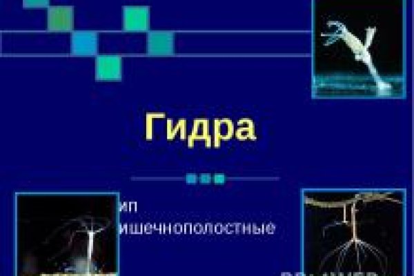 Как зайти на kraken в 2024