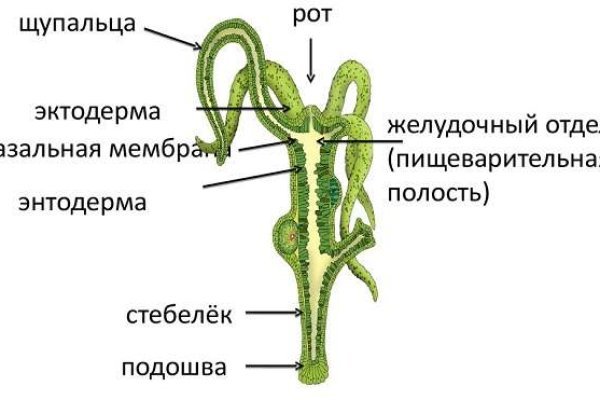 2krn сс что это такое